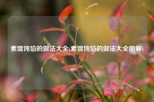 素馄饨馅的做法大全(素馄饨馅的做法大全图解)
