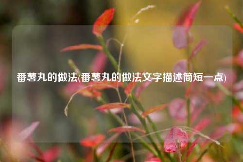 番薯丸的做法(番薯丸的做法文字描述简短一点)