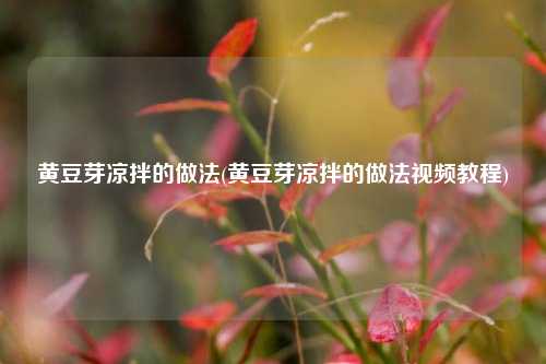 黄豆芽凉拌的做法(黄豆芽凉拌的做法视频教程)