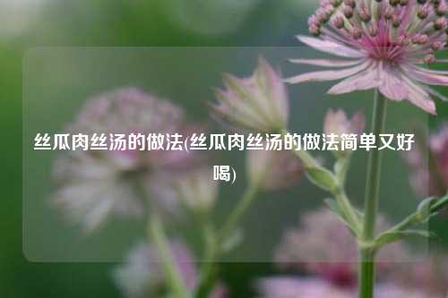 丝瓜肉丝汤的做法(丝瓜肉丝汤的做法简单又好喝)