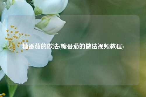 糖番茄的做法(糖番茄的做法视频教程)