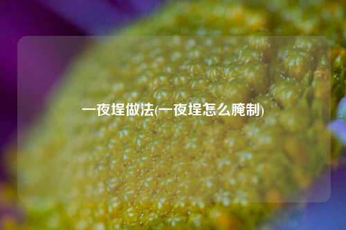 一夜埕做法(一夜埕怎么腌制)
