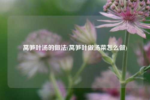 莴笋叶汤的做法(莴笋叶做汤菜怎么做)