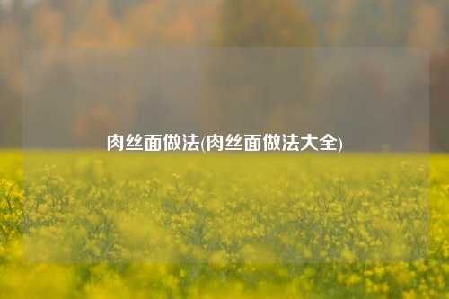 肉丝面做法(肉丝面做法大全)