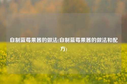 自制蓝莓果酱的做法(自制蓝莓果酱的做法和配方)