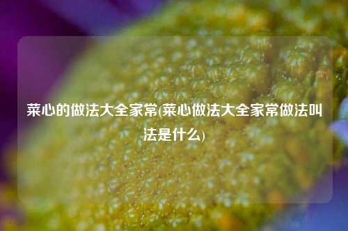 菜心的做法大全家常(菜心做法大全家常做法叫法是什么)