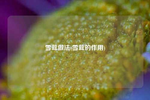 雪茸做法(雪茸的作用)