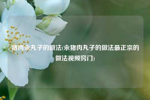 猪肉汆丸子的做法(汆猪肉丸子的做法最正宗的做法视频窍门)