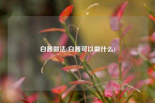 白酱做法(白酱可以做什么)