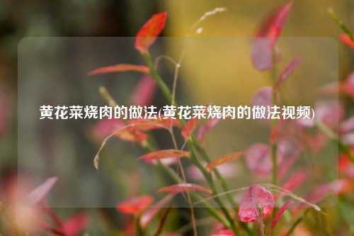 黄花菜烧肉的做法(黄花菜烧肉的做法视频)