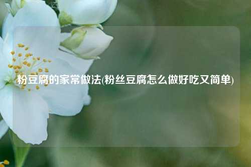 粉豆腐的家常做法(粉丝豆腐怎么做好吃又简单)