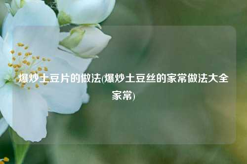 爆炒土豆片的做法(爆炒土豆丝的家常做法大全家常)