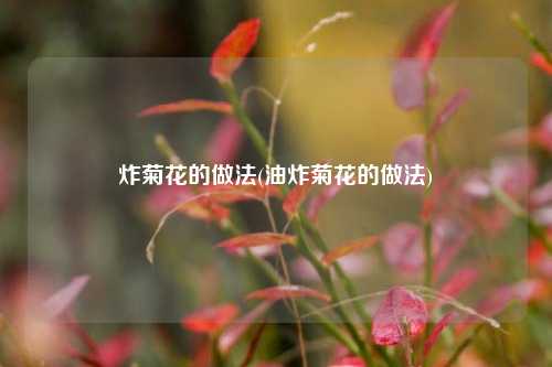 炸菊花的做法(油炸菊花的做法)