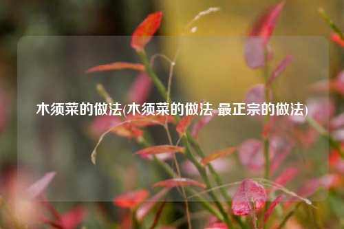 木须菜的做法(木须菜的做法 最正宗的做法)