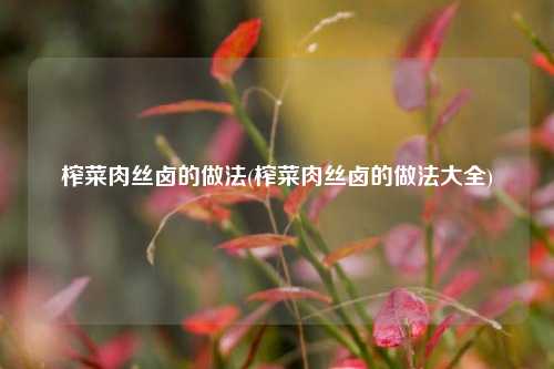 榨菜肉丝卤的做法(榨菜肉丝卤的做法大全)