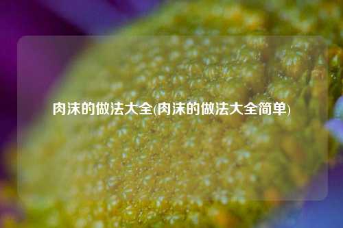 肉沫的做法大全(肉沫的做法大全简单)
