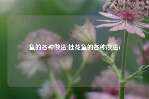 鱼的各种做法(桂花鱼的各种做法)